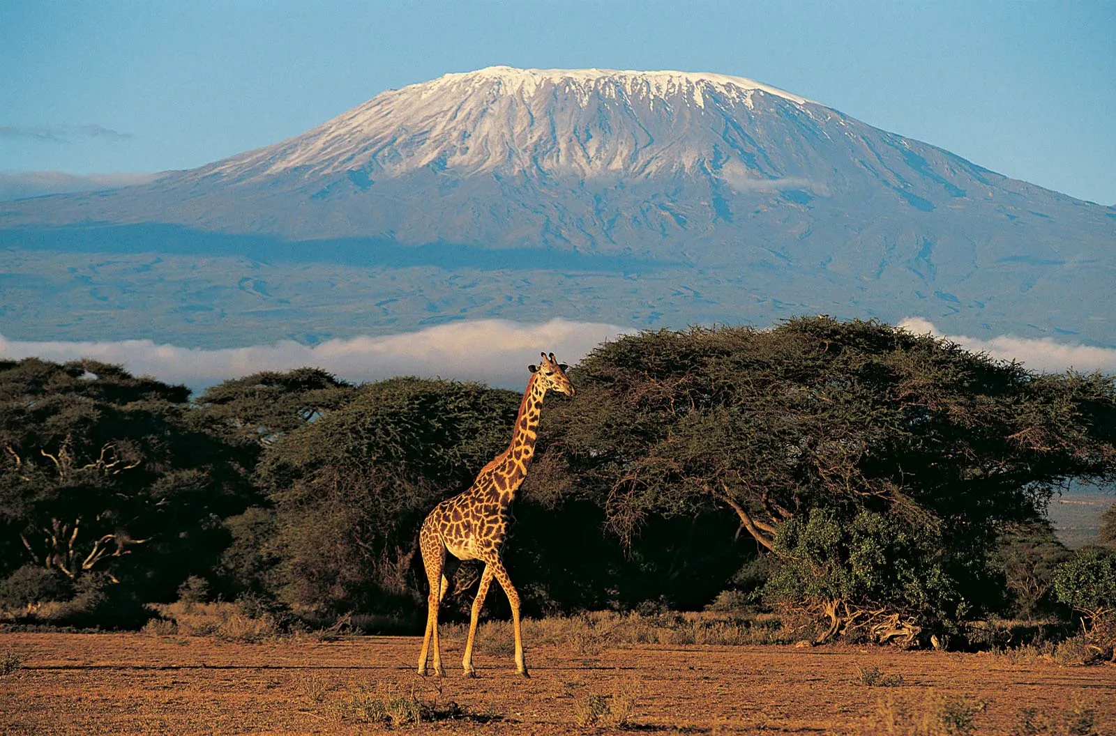 Kenya
